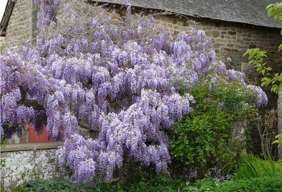 Le Clos Des Anges Dingé 외부 사진